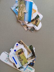 IMG_20250129_093637