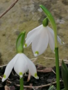IMG_20210314_114940
