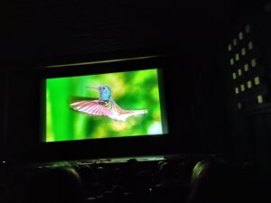 IMG_20250211_083336