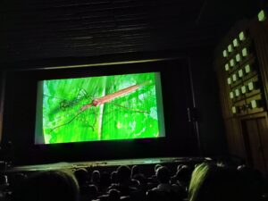 IMG_20250211_083344