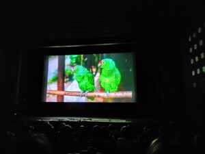 IMG_20250211_083502