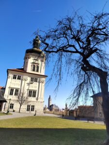 IMG_20250320_084801