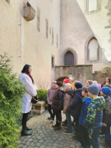 IMG_20250320_100535