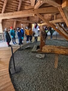 IMG_20250320_101433