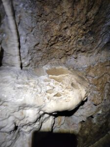 IMG_20250320_105939