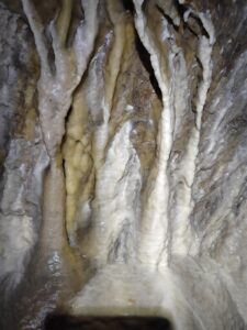 IMG_20250320_105945