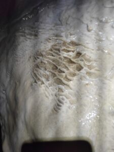 IMG_20250320_105952