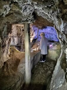 IMG_20250320_110021
