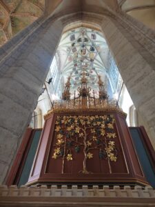 IMG_20250320_122603