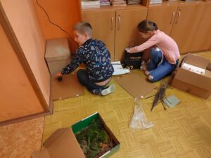IMG_20250331_114918