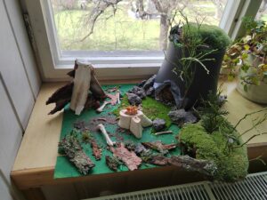 IMG_20250331_124920