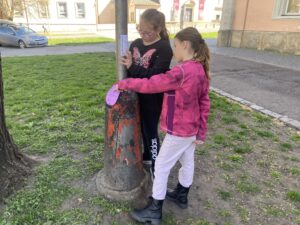 IMG_7483