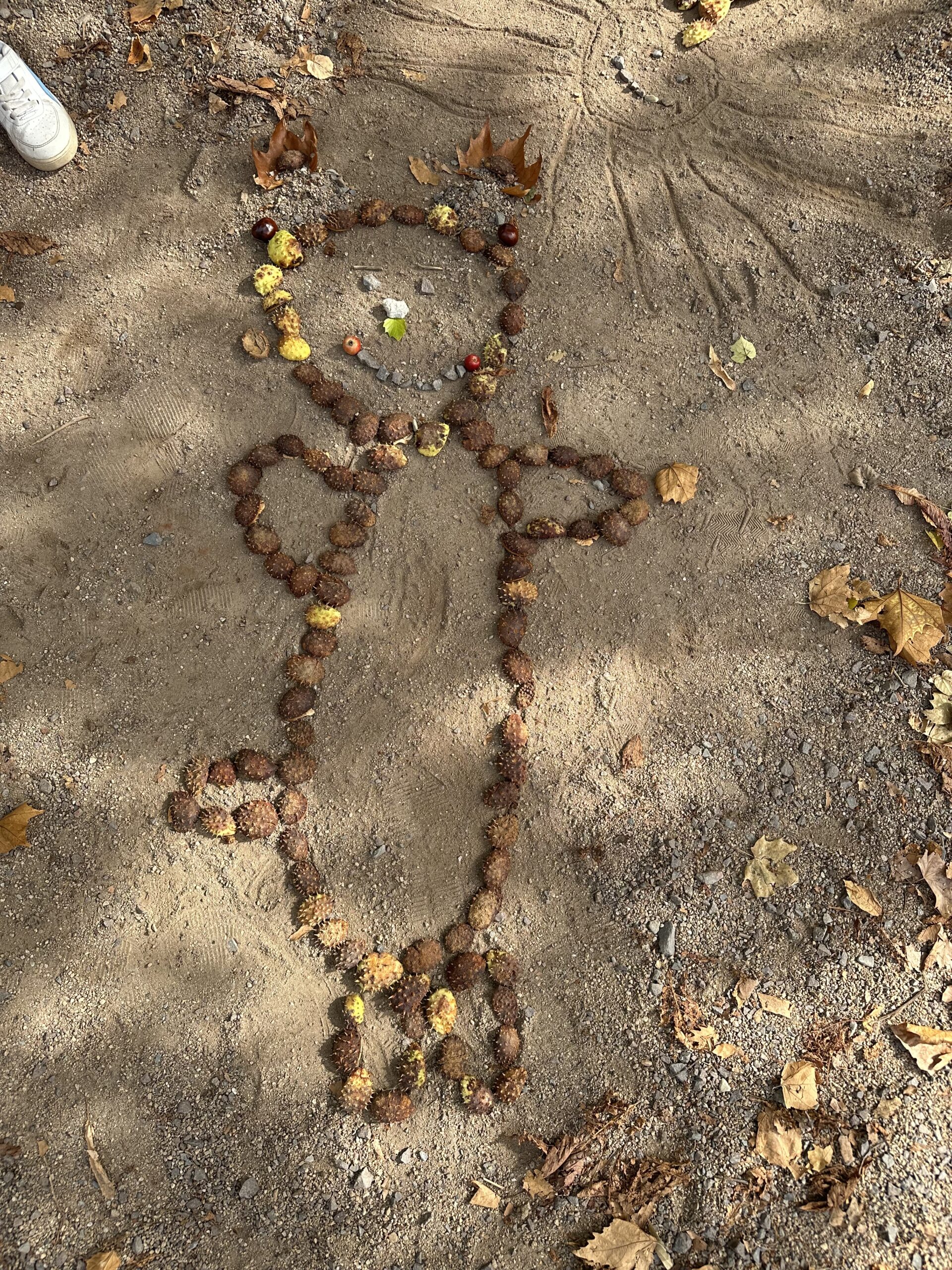 Naše přírodní galerie🍂