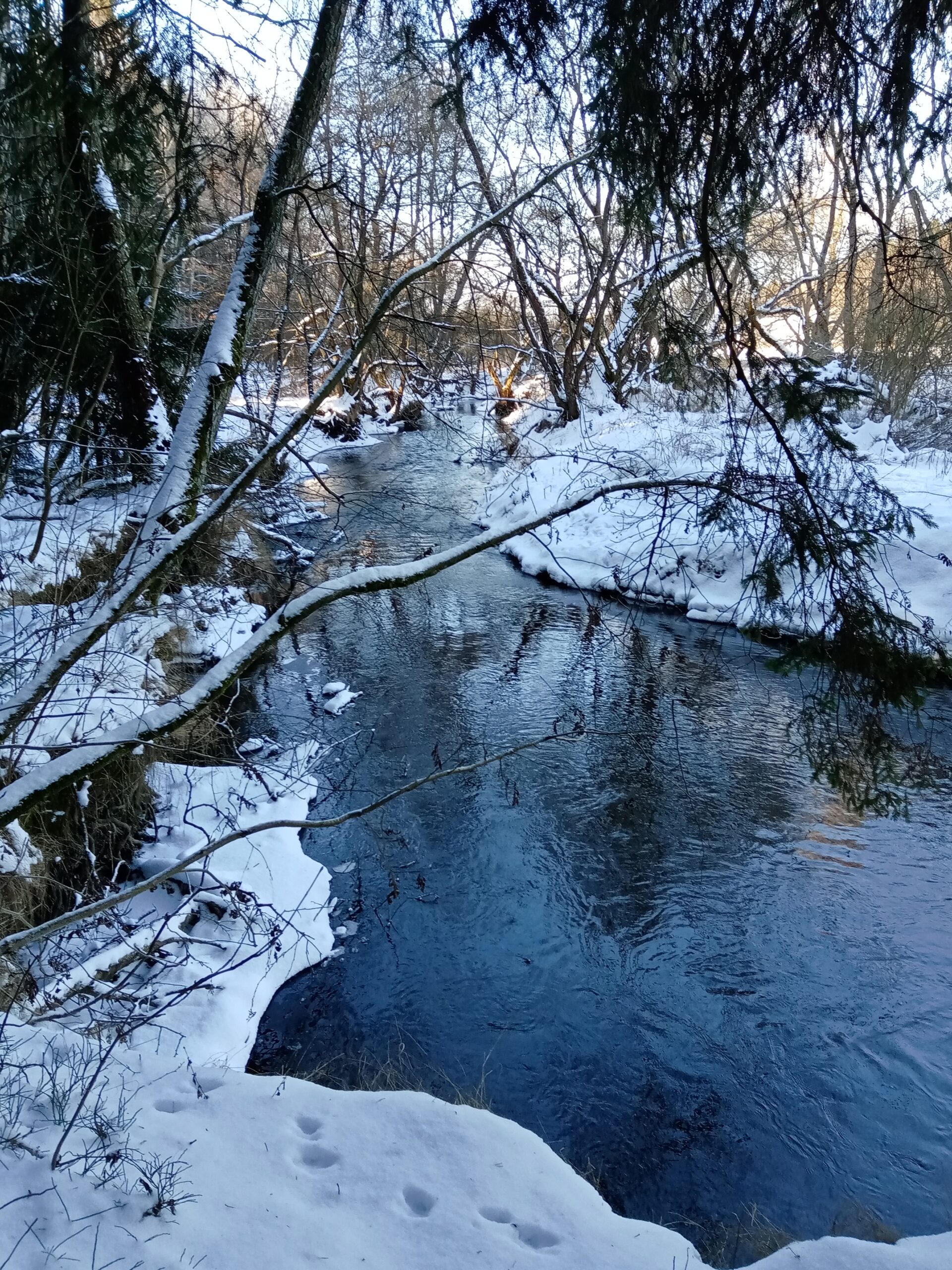 Plán na únor