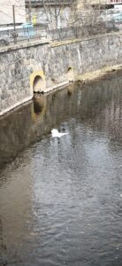 IMG_20260320_130712