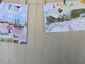 IMG_9701