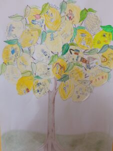 IMG_20260225_140819