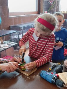 IMG_20260413_114330