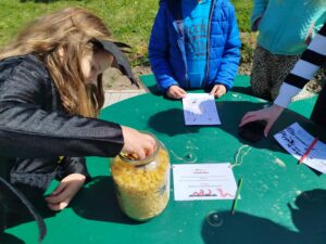 IMG_20260422_134346