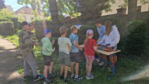 IMG-20260529-WA0033