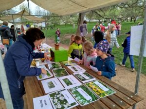 IMG_20260421_133122