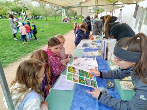 IMG_20260421_133635 (1)