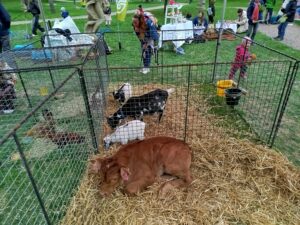 IMG_20260421_134237