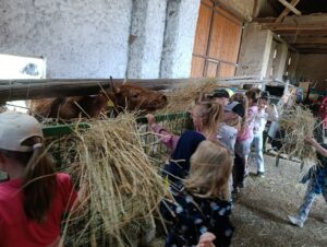 IMG_20260504_095823