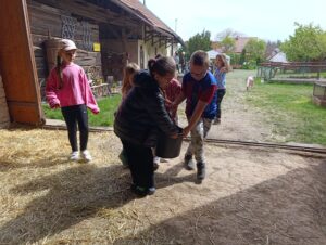 IMG_20260504_100315