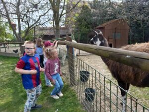 IMG_20260504_101334
