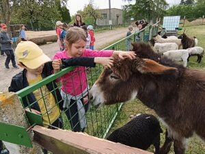 IMG_20260504_102013