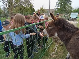 IMG_20260504_102101