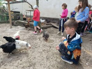 IMG_20260504_103534
