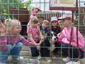 IMG_20260504_104253