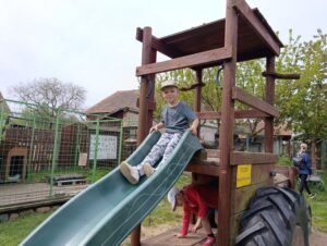 IMG_20260504_104331