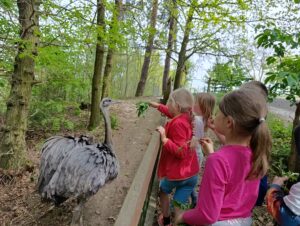 IMG_20260504_110657