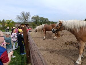 IMG_20260504_111127