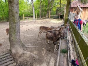 IMG_20260504_112312