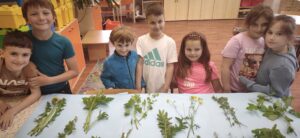 IMG_20260511_115230