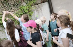 IMG_20260522_150431