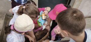 IMG_20260522_150658