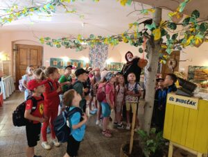 IMG_20260527_095812
