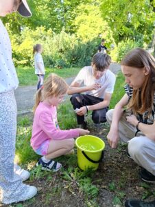 IMG_20260529_091248