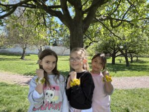 IMG_8573