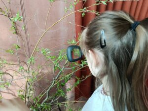 IMG_20260413_085240