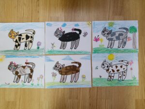 IMG_20260521_074637
