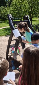 IMG_20260526_134006