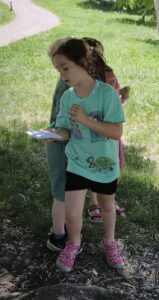 IMG_20260526_185223