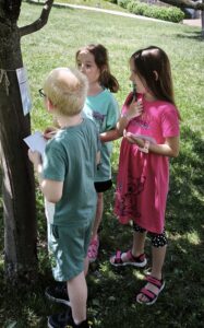 IMG_20260526_185322