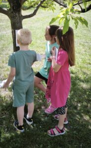 IMG_20260526_185337